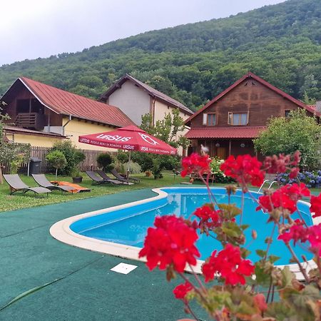 Casa De Vacanta Качулата Экстерьер фото