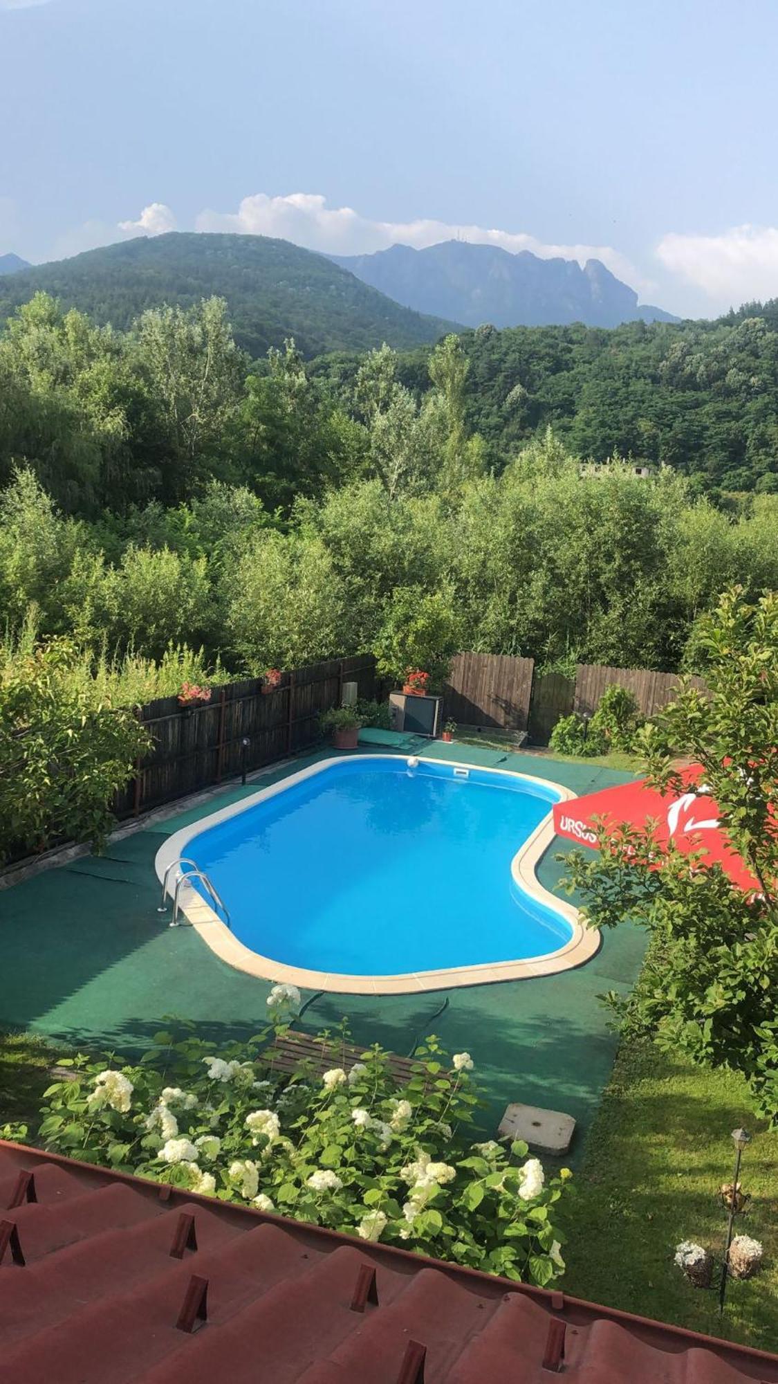 Casa De Vacanta Качулата Экстерьер фото