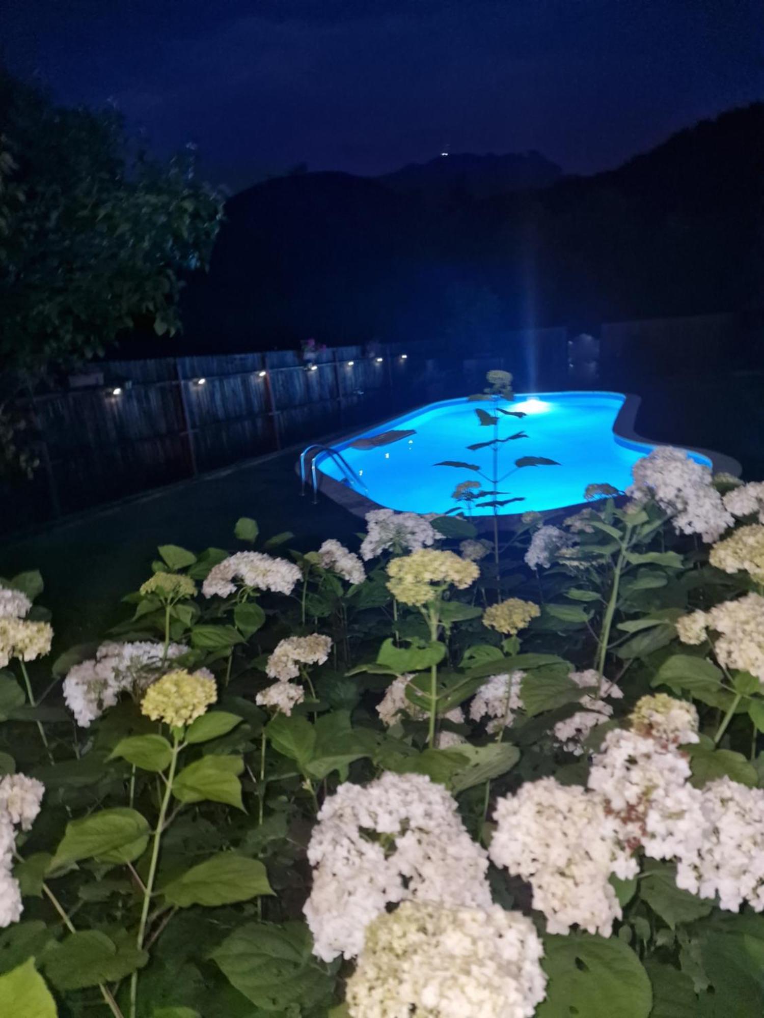 Casa De Vacanta Качулата Номер фото
